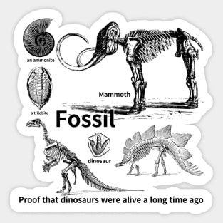 fossil, Proof that dinosaurs were alive a long time ago, dinosaur, an ammonite, a trilobite Sticker